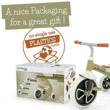 Cargar imagen en el visor de la galería, chillafish-CPZG01SAL-Triciclo Ziggi - Salmon