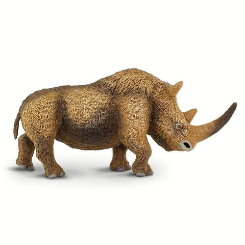 Safari-100089-Rinoceronte lanudo