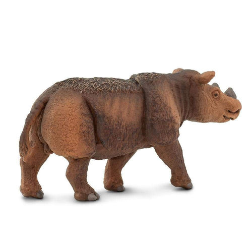 Safari-100103-Rinoceronte de Sumatra