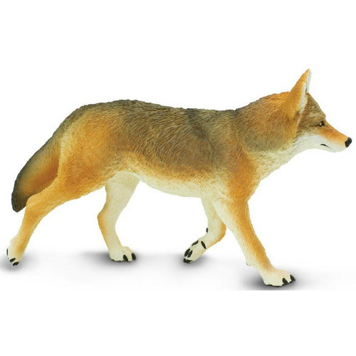 Safari-113089-Coyote