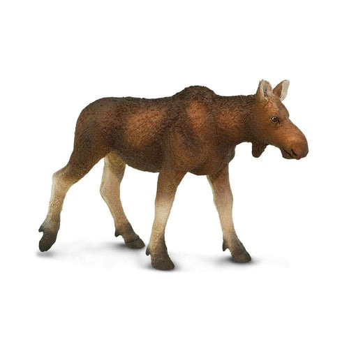 Safari-180829-Vaca alce