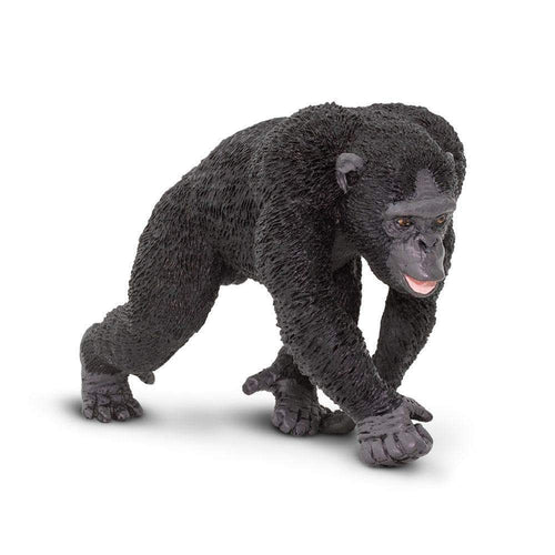 Safari-224729-Chimpancé