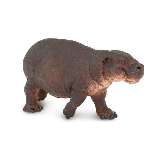 Safari-229229-Hipopótamo pigmeo