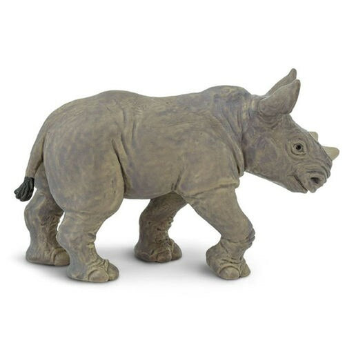 Safari-270329-Rinoceronte blanco bebé