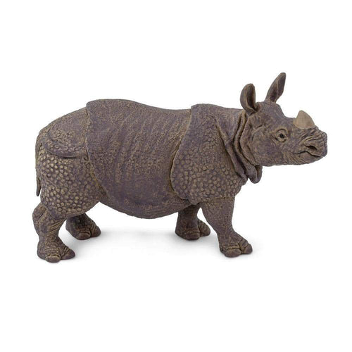 Safari-297329-Rinoceronte indio