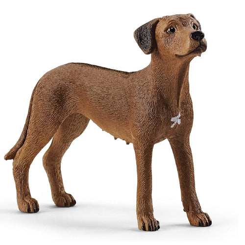 Schleich-13895-Perro crestado rodesiano