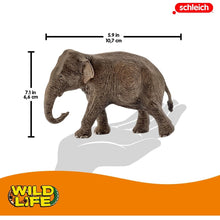 Cargar imagen en el visor de la galería, Schleich-14761-Elefante africano hembra
