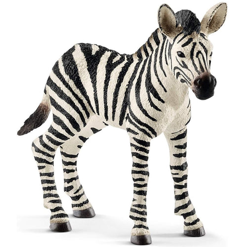 Schleich-14811-Cebra bebé