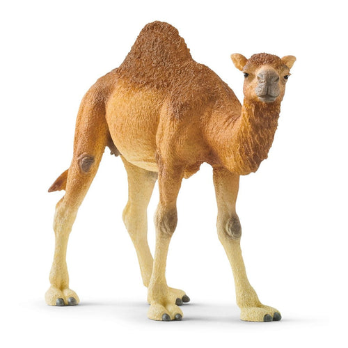 Schleich-14832-Dromedario