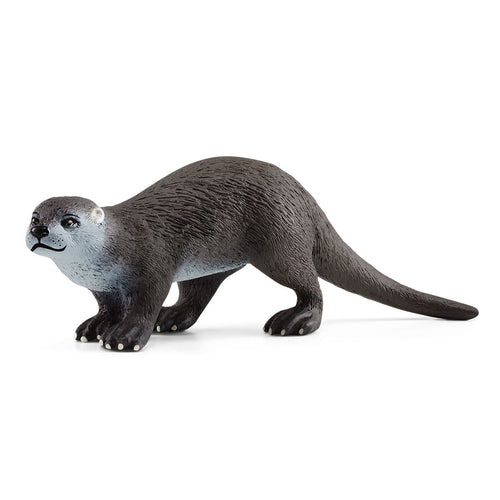 Schlech-14865-Nutria