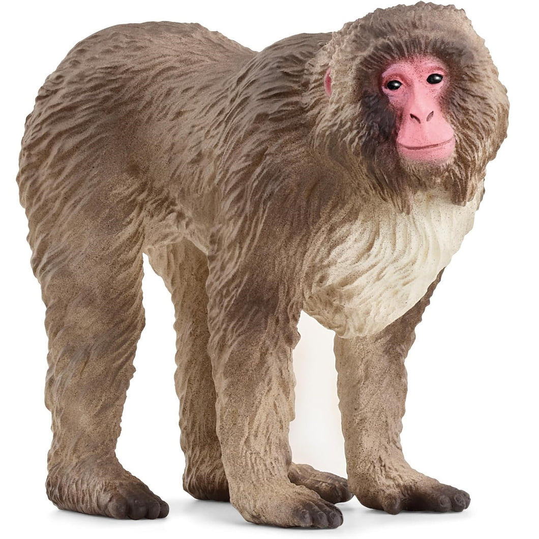 Schleich-14871-Macaco japonés