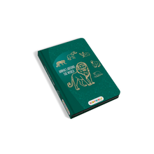 Cargar imagen en el visor de la galería, KIDYWOLF-KIDYDRAW-MINI-AAW-Pizarra para dibujar - Alrededor del mundo
