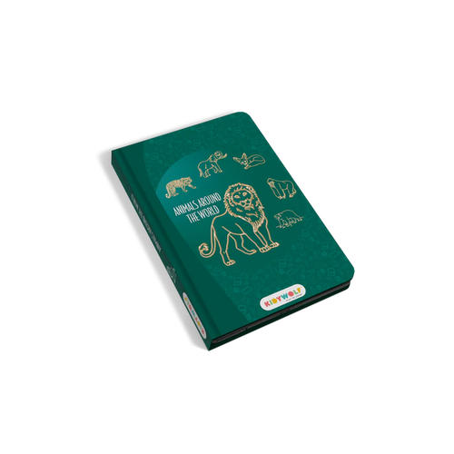 KIDYWOLF-KIDYDRAW-MINI-AAW-Pizarra para dibujar - Alrededor del mundo