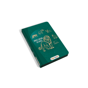 KIDYWOLF-KIDYDRAW-MINI-AAW-Pizarra para dibujar - Alrededor del mundo
