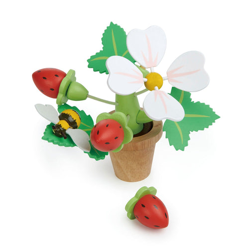 Tender Leaf-8356-Maceta con frutillas