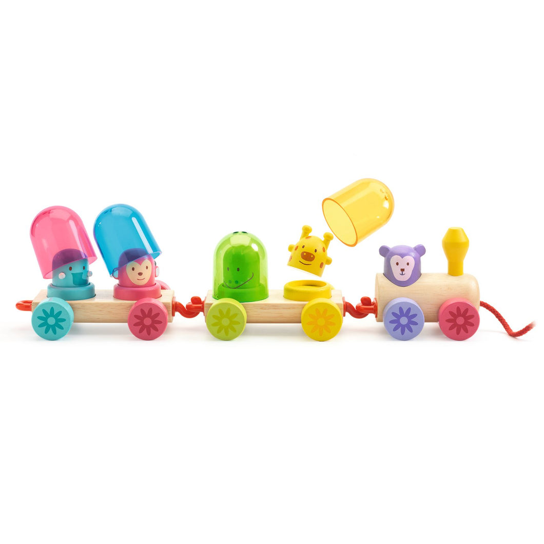 DJECO-DJ06326-Tren - Arcoiris